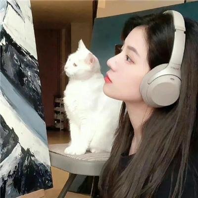 直线篡位第三季