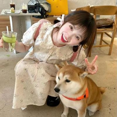 极地漫步